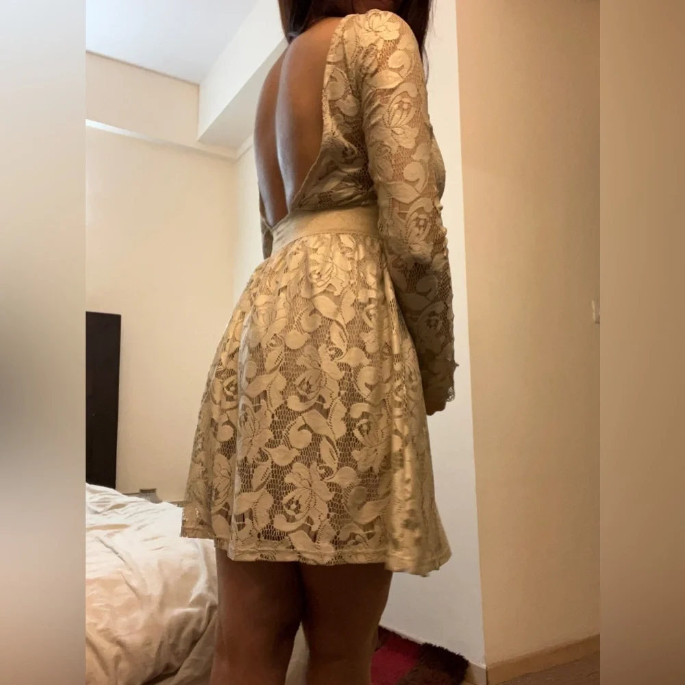 Zara Crème Net Lace Dress - Picture 9 of 12